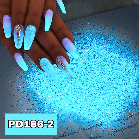 10g Luminous Glow In The Dark Nail Powder